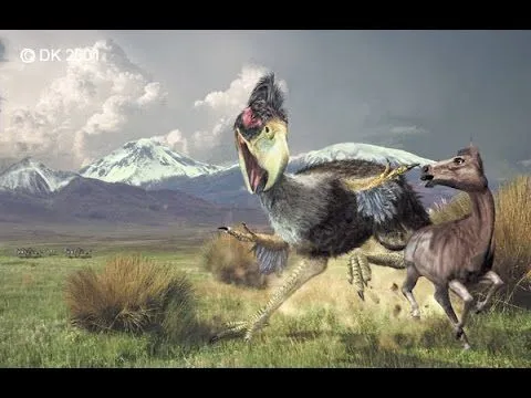 Top Depredadores Prehistóricos (AVES) aves del terror - YouTube Top Depredadores Prehistóricos (AVES) aves del terror - YouTube