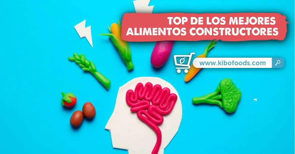 Top de los Mejores Alimentos Constructores - Kibo Top de los Mejores Alimentos Constructores - Kibo