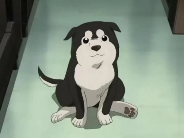 Top 8 de Perros en el anime más adoptables