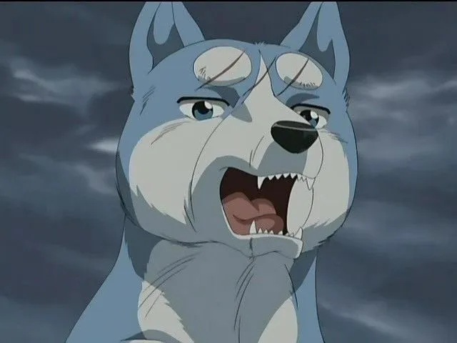 Top 8 de Perros en el anime más adoptables - Taringa! Top 8 de Perros en el anime más adoptables - Taringa!