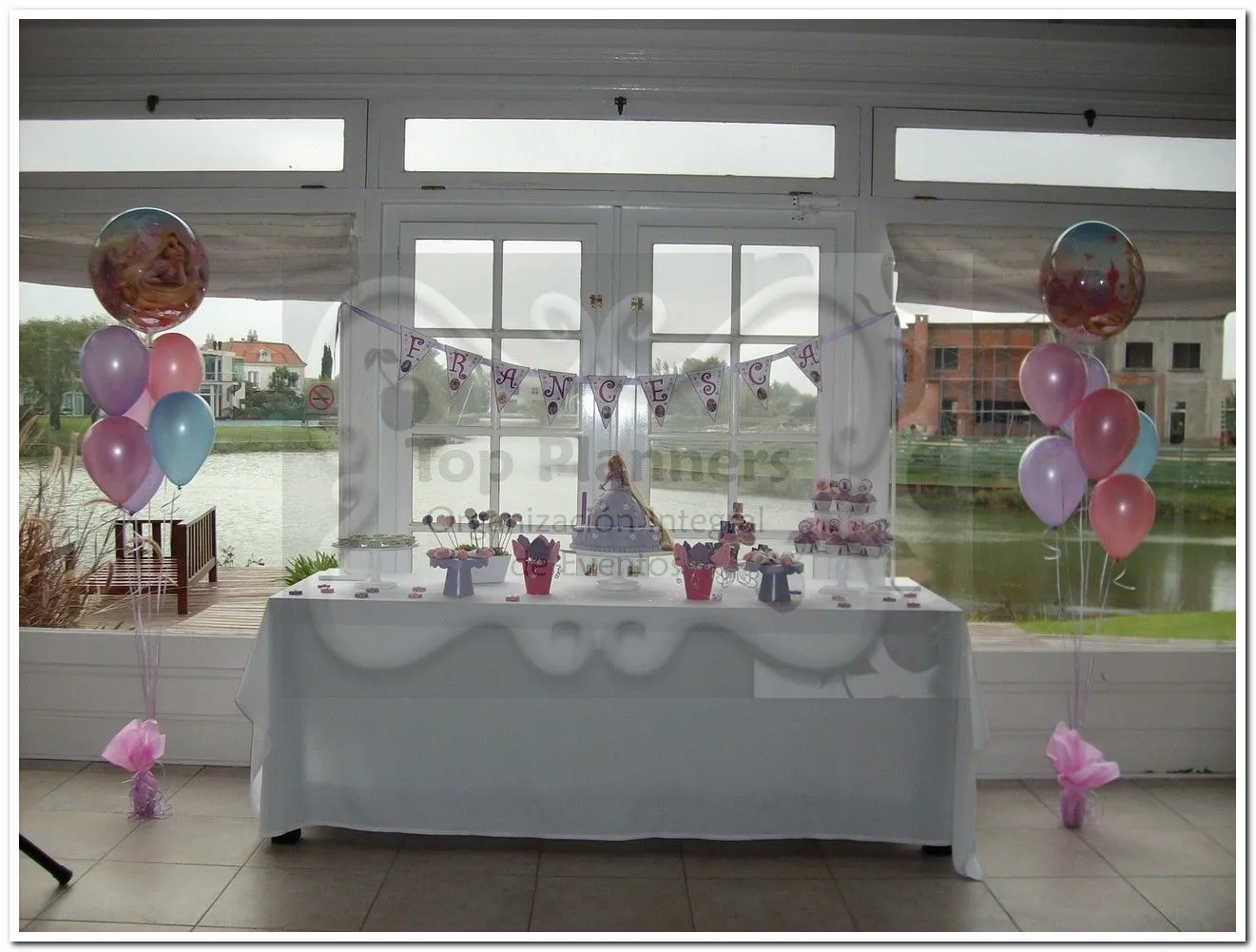 Top Planners: Cumple tematico Enredados