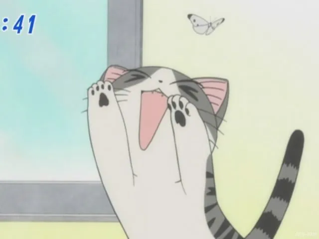 Top Ten: Gatos molones |