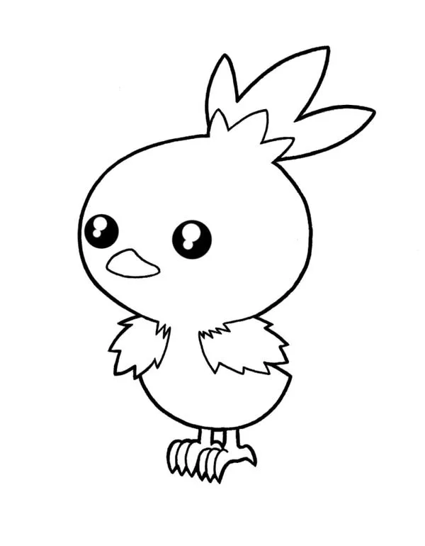 Torchic dibujo - Imagui