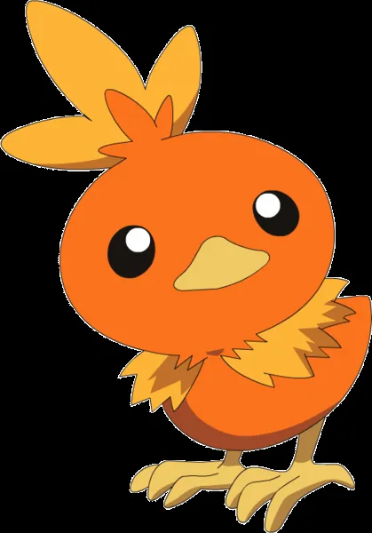 Torchic dibujo - Imagui