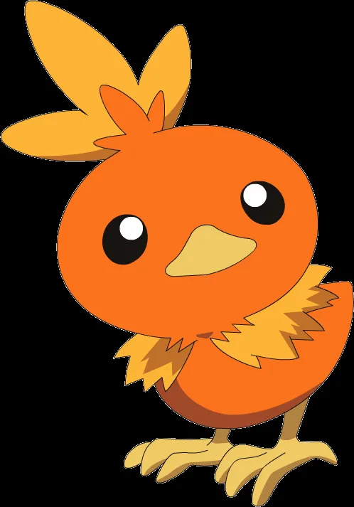 Torchic - The Pokémon Wiki