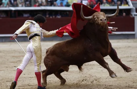 Lo que hay que torear en 2015 | Cultura | EL PAÍS Lo que hay que torear en 2015 | Cultura | EL PAÍS