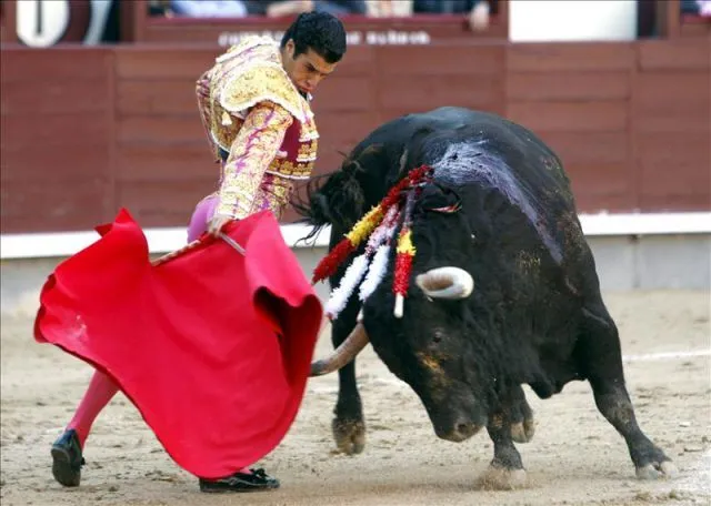 El torero burgalés Morenito de Aranda toreando de muleta durante ... El torero burgalés Morenito de Aranda toreando de muleta durante ...