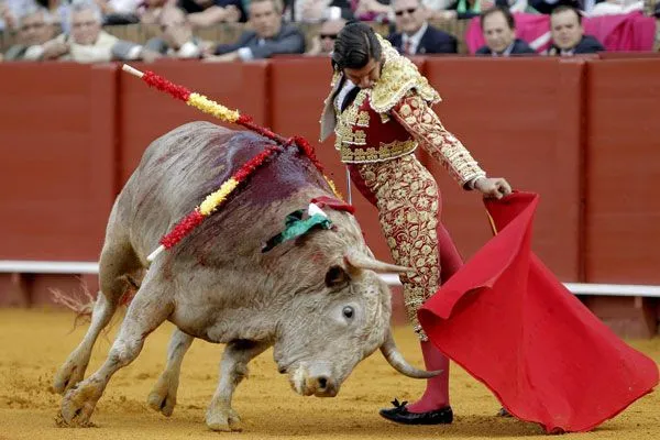 Toreros de Aguascalientes y España en la FNSM 2015 :: Palestra ...