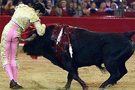 Cosas de toreros | Toros | elmundo.