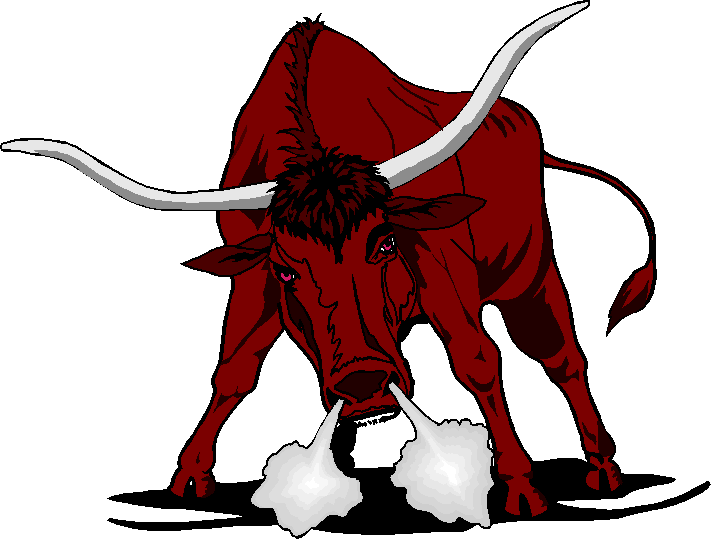 UN TORO COL CAPPIO AL COLLO | IntermarketAndMore UN TORO COL CAPPIO AL COLLO | IntermarketAndMore