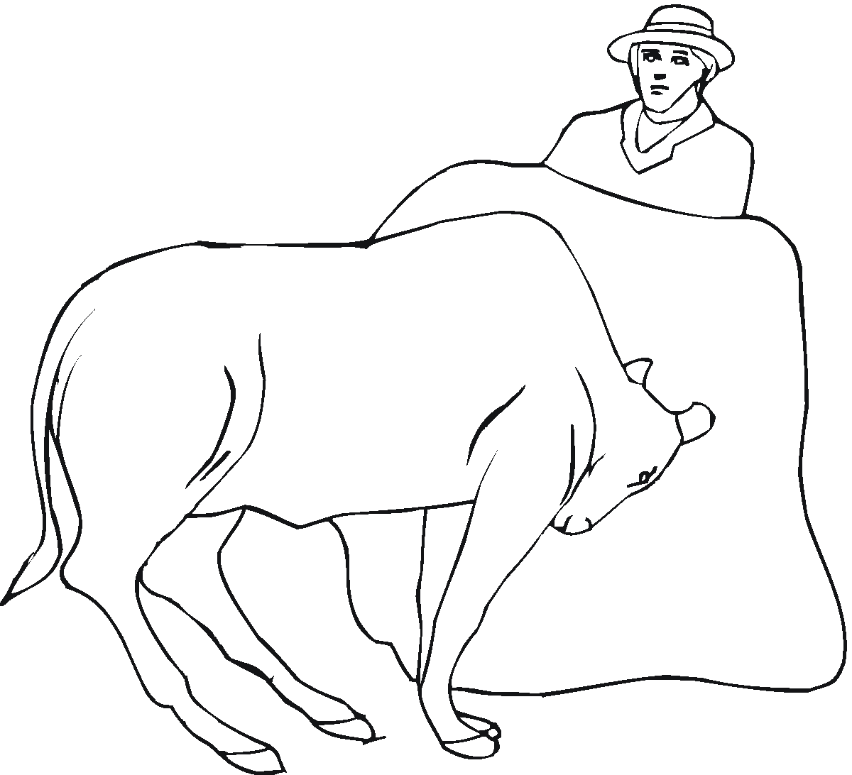 Toro para colorear