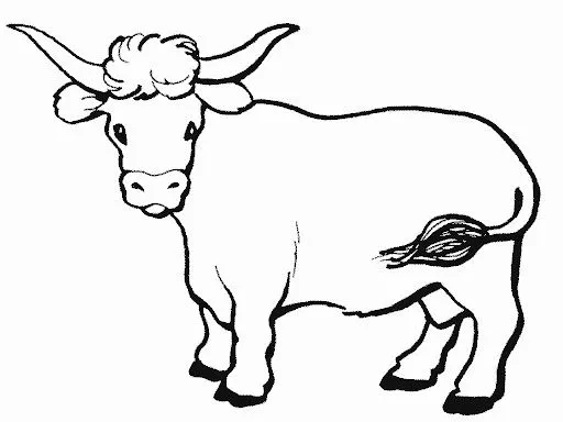 Toro para colorear - Imagui