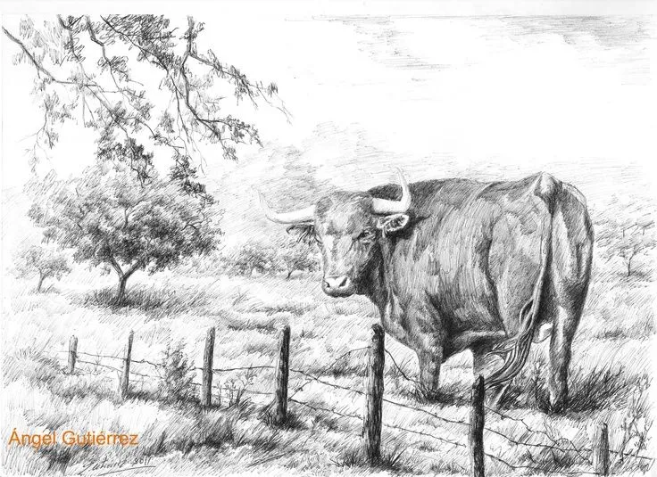 Toro en la dehesa. Bolígrafo Bic sobre papel Gvarro. "Bull in the ...