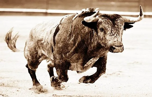 Toro, Torero y Afición: "¿Chao, Toros? Lamento" Una reflexión ... Toro, Torero y Afición: "¿Chao, Toros? Lamento" Una reflexión ...