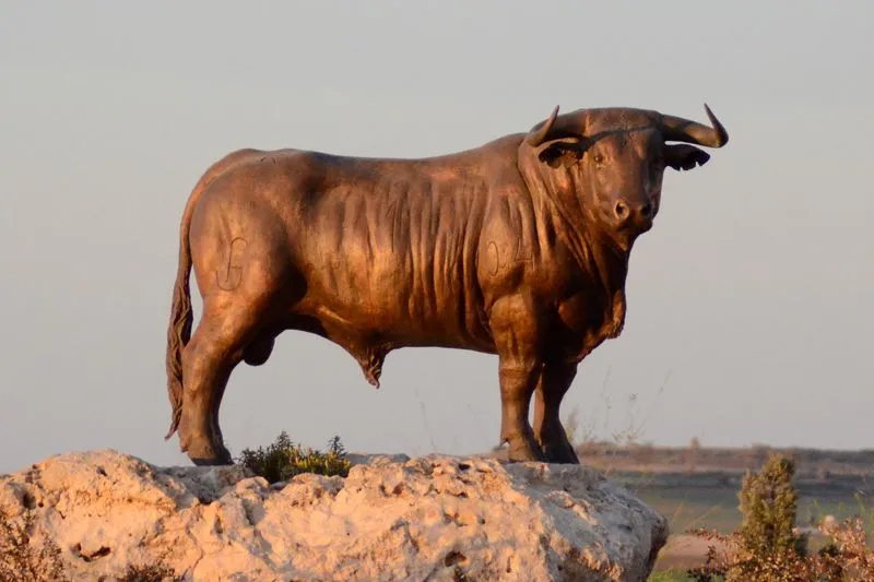 ToroBronce.jpg