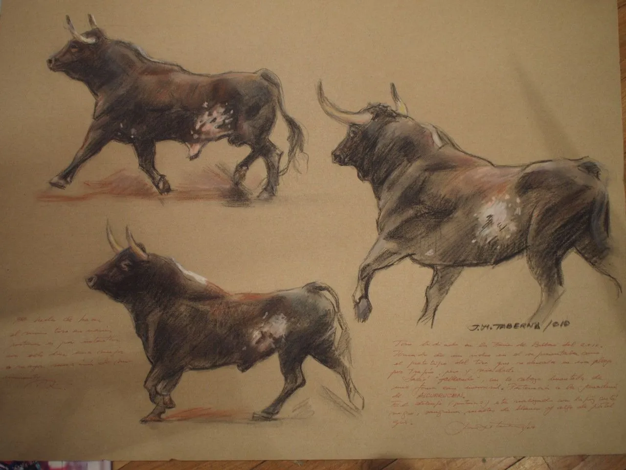 Toros & Toreros ; dibujos y pinturas | Colección de dibujos y ... Toros & Toreros ; dibujos y pinturas | Colección de dibujos y ...