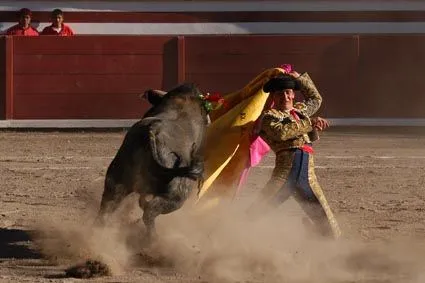 TOROS Y TOREROS | Gonzalo Pérez