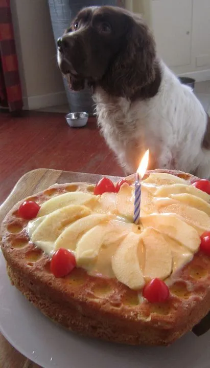 Una torta de cumpleaños hecha con amor especialmente para Alanita ... Una torta de cumpleaños hecha con amor especialmente para Alanita ...