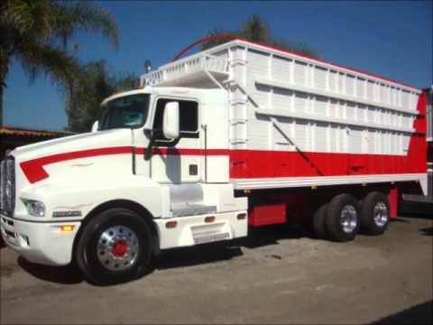 torton, reproches al viento - YouTube