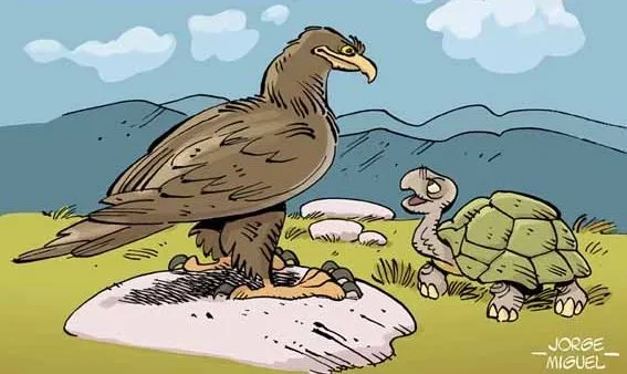 La tortuga y el águila – Samaniego | En Clave de Niños La tortuga y el águila – Samaniego | En Clave de Niños