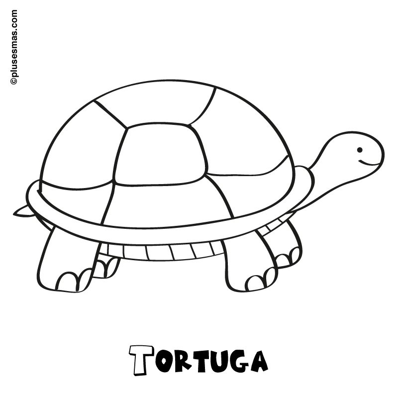 Tortuga para colorear. Colorear con niños. Ocio en casa. Plusesmas.com