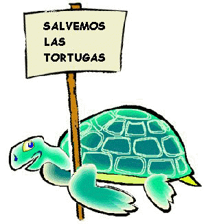 Tortuga gif animado - Imagui