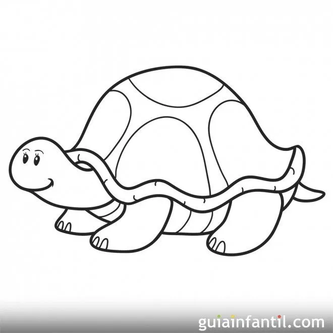 Tortuga simpática y observadora. Dibujo para colorear - Dibujos de ...