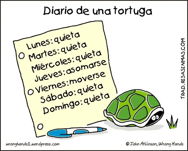 Imágenes divertidas de Tortugas