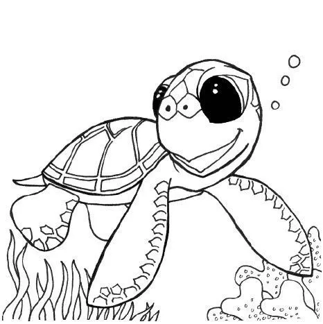 Dibujos de tortugas para bebés - Imagui