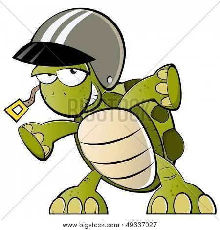 Carapace vectores, fotos e ilustraciones en stock | Bigstock