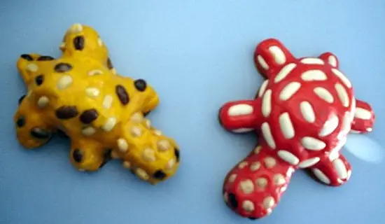 Tortugas con Plastilina y Semillas | Manualidades Infantiles