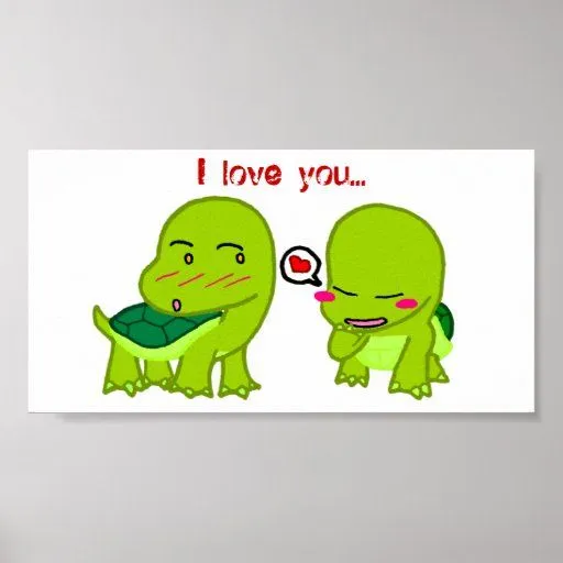 tortugas en luv poster de Zazzle.