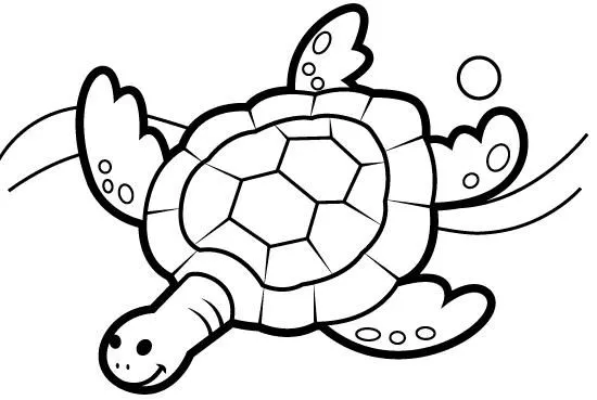 Tortugas marinas dibujos para colorear - Imagui Tortugas marinas dibujos para colorear - Imagui