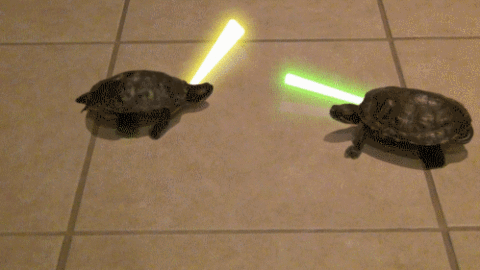 Tortugas de Star Wars - Blog de Humor, Memes, Viñetas, Gifs y ... Tortugas de Star Wars - Blog de Humor, Memes, Viñetas, Gifs y ...