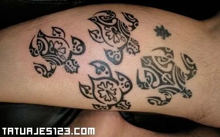 tortugas-tribales.jpg