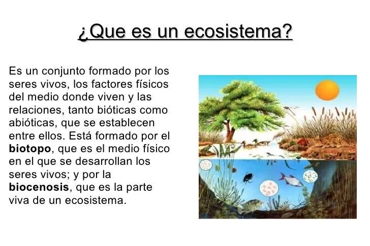 trabajo-de-los-ecosistemas- ...