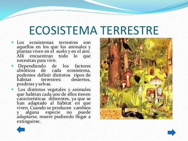 trabajo-no-1-multimedia-2-638. ...