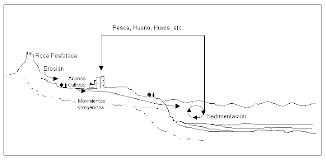 trabajos de beatriz adriana: bloque cinco