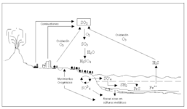trabajos de beatriz adriana: bloque cinco