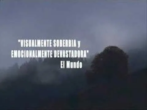 Trailer en castellano de "El Bosque de Luto" de Naomi Kawase - YouTube