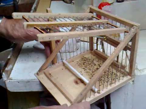 Trampa curiosa para pajaros 09062009097 - YouTube Trampa curiosa para pajaros 09062009097 - YouTube