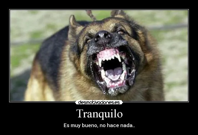 Tranquilo | Desmotivaciones