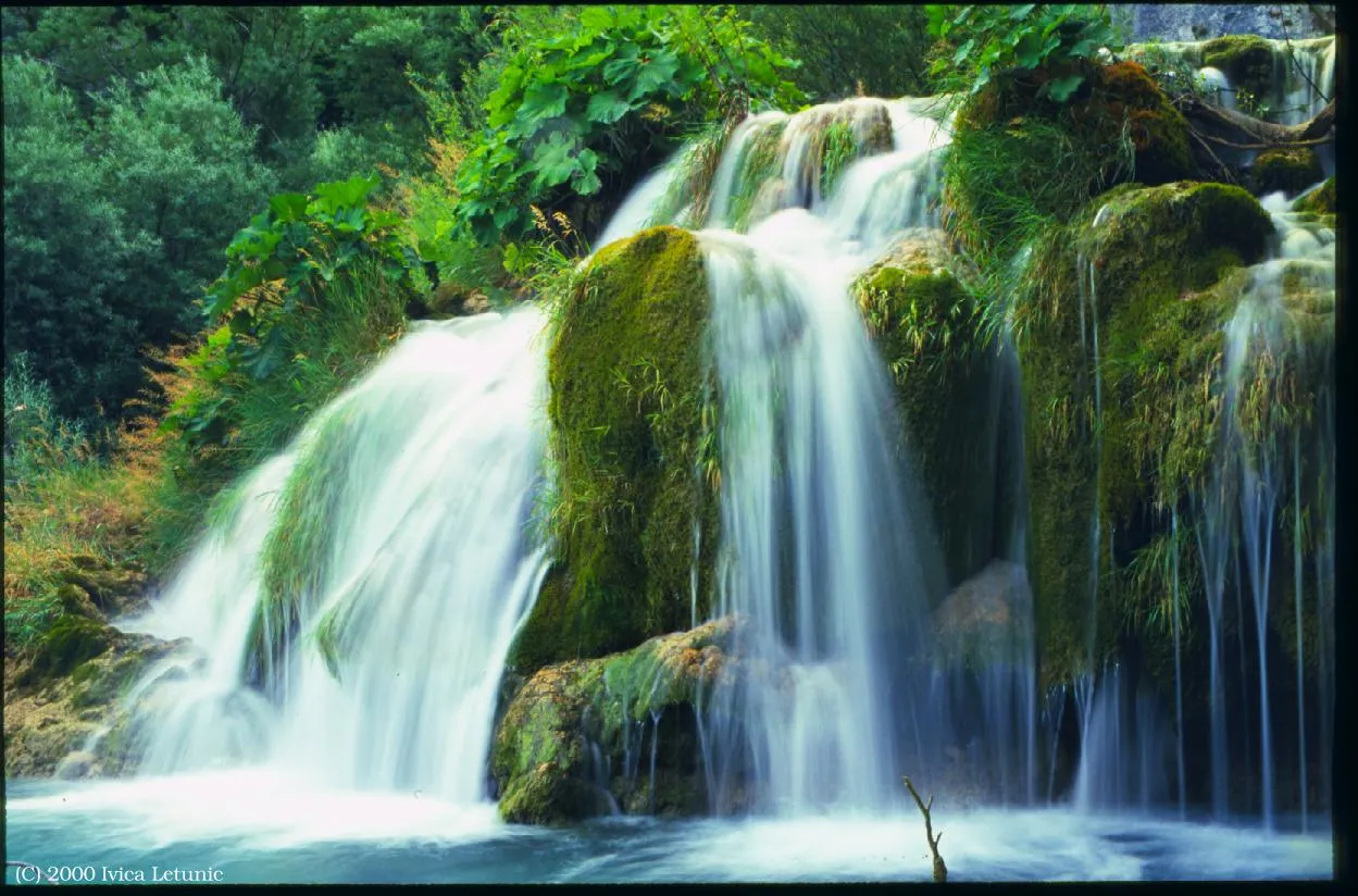 ... Cascada, ayuda inesperada - PokeEspectaculos, la Wiki de las ... Cascada, ayuda inesperada - PokeEspectaculos, la Wiki de las