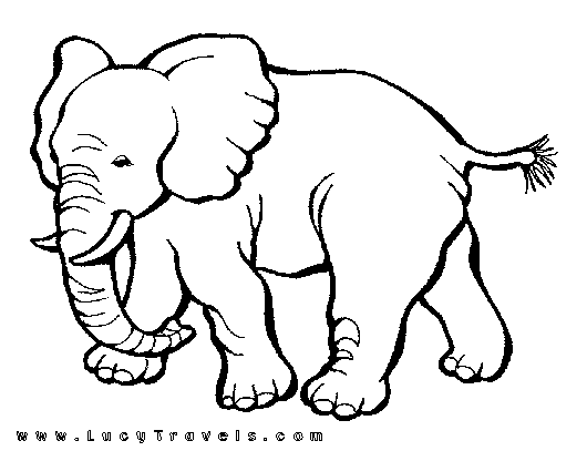 transmissionpress: 14 Elephant Coloring Pages for Kids