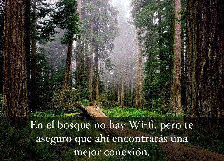Trastorno por déficit de naturaleza , Reconectar con la naturaleza ... Trastorno por déficit de naturaleza , Reconectar con la naturaleza ...