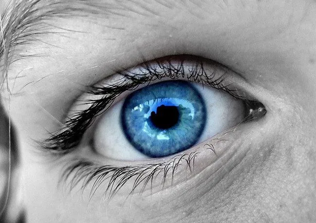 Un tratamiento láser para cambiar ojos cafés en azules está en ... Un tratamiento láser para cambiar ojos cafés en azules está en ...