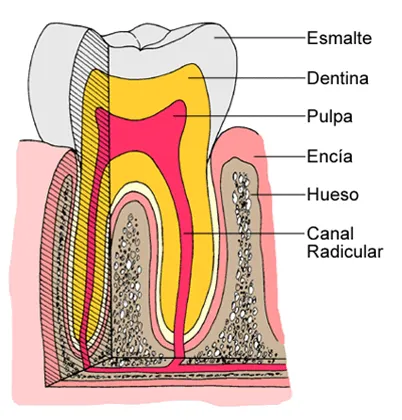 TRATAMIENTOS DENTALES: octubre 2010
