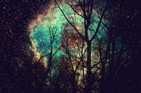 tree night galaxy arboles via láctea galaxia bosque noche arbol ... tree night galaxy arboles via láctea galaxia bosque noche arbol ...