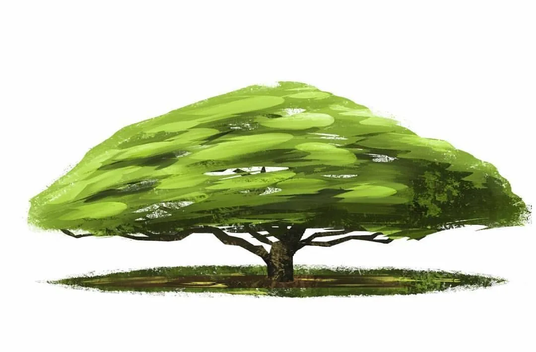 Tree practice #saman #conceptart #illustration #videogame #Venezuela #arbol | Concept art, Illustration, Tree Tree practice #saman #conceptart #illustration #videogame #Venezuela #arbol | Concept art, Illustration, Tree