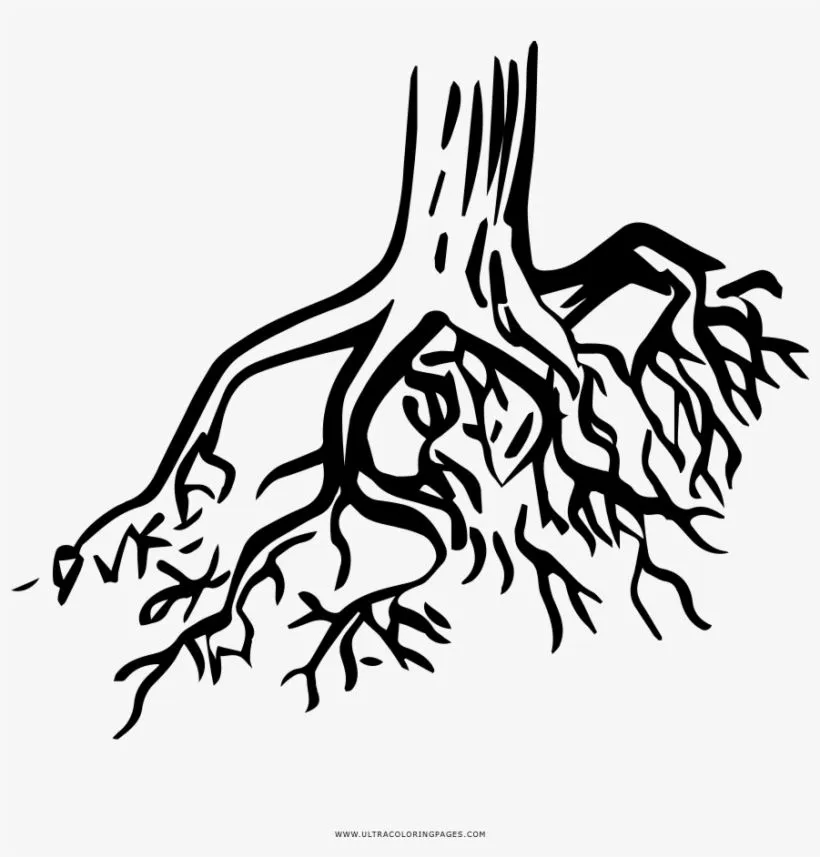 Tree Roots Coloring Page - Raices Para Colorear - 1000x1000 PNG Download - PNGkit Tree Roots Coloring Page - Raices Para Colorear - 1000x1000 PNG Download - PNGkit